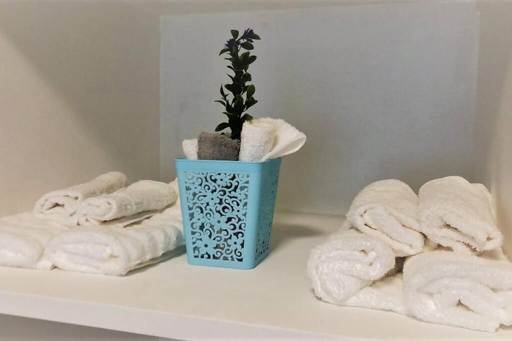 Lovely 1 Bedroom Apartment W/Private Parking Ensenada Dış mekan fotoğraf